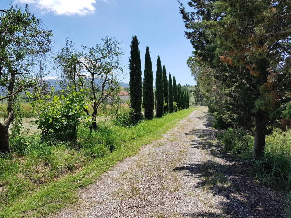 Agriturismo Bio Le 4 Stagioni Porrona Екстер'єр фото